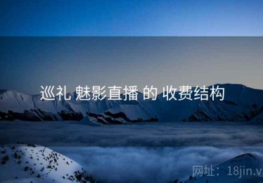 巡礼 魅影直播 的 收费结构