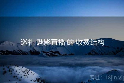 巡礼 魅影直播 的 收费结构