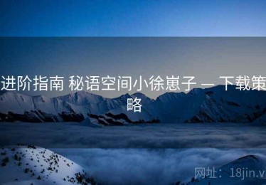 进阶指南 秘语空间小徐崽子 — 下载策略