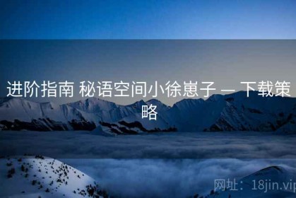 进阶指南 秘语空间小徐崽子 — 下载策略