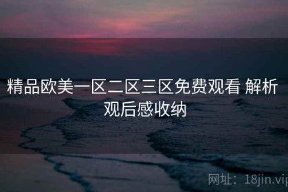 精品欧美一区二区三区免费观看 解析 观后感收纳