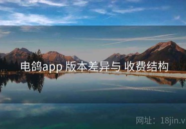 电鸽app 版本差异与 收费结构