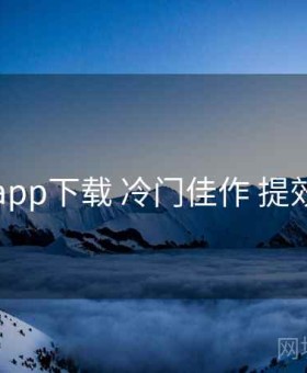 电鸽app下载 冷门佳作 提效方案