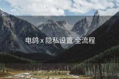 电鸽 x 隐私设置 全流程