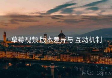 草莓视频 版本差异与 互动机制