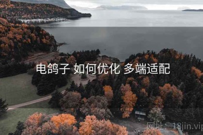 电鸽子 如何优化 多端适配