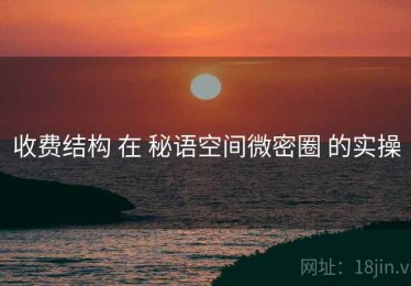 收费结构 在 秘语空间微密圈 的实操