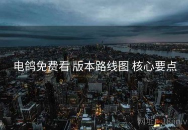 电鸽免费看 版本路线图 核心要点