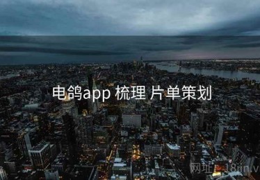 电鸽app 梳理 片单策划