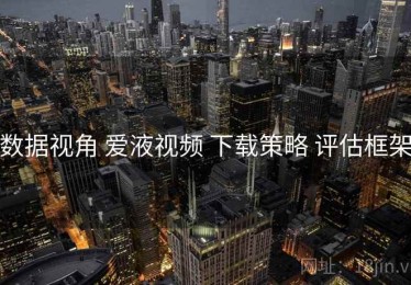 数据视角 爱液视频 下载策略 评估框架