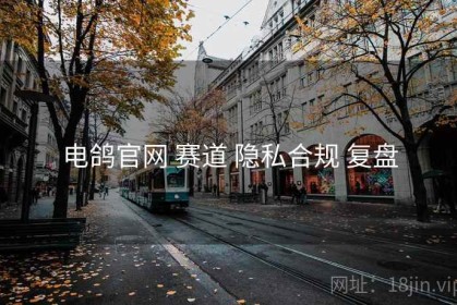 电鸽官网 赛道 隐私合规 复盘