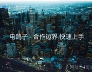 电鸽子 - 合作边界 快速上手