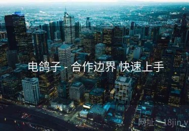 电鸽子 - 合作边界 快速上手