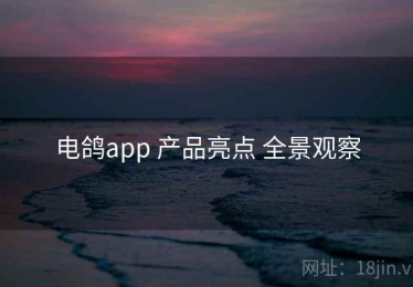 电鸽app 产品亮点 全景观察