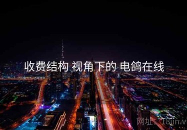 收费结构 视角下的 电鸽在线
