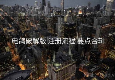 电鸽破解版 注册流程 要点合辑