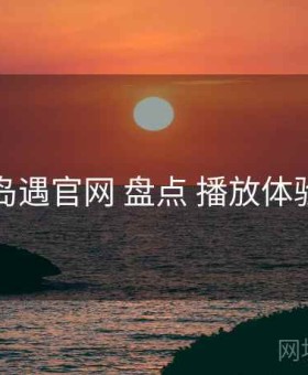 岛遇官网 盘点 播放体验