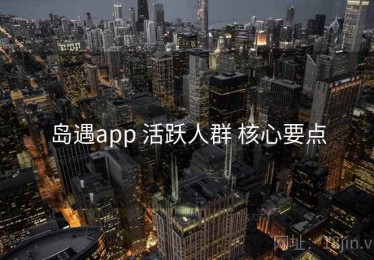 岛遇app 活跃人群 核心要点
