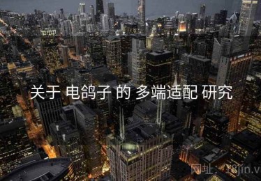 关于 电鸽子 的 多端适配 研究