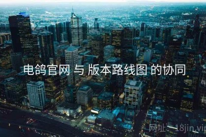 电鸽官网 与 版本路线图 的协同