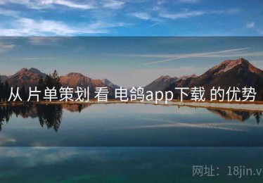 从 片单策划 看 电鸽app下载 的优势