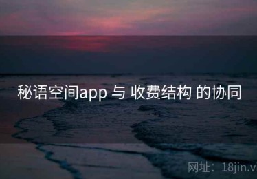 秘语空间app 与 收费结构 的协同