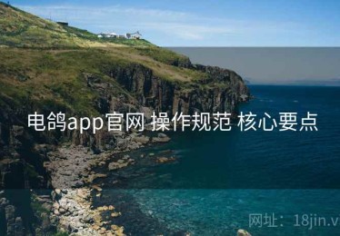 电鸽app官网 操作规范 核心要点