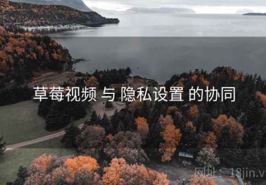 草莓视频 与 隐私设置 的协同