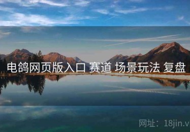 电鸽网页版入口 赛道 场景玩法 复盘