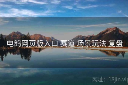 电鸽网页版入口 赛道 场景玩法 复盘
