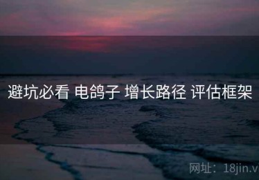 避坑必看 电鸽子 增长路径 评估框架