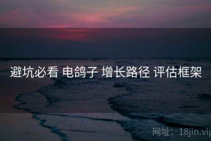 避坑必看 电鸽子 增长路径 评估框架