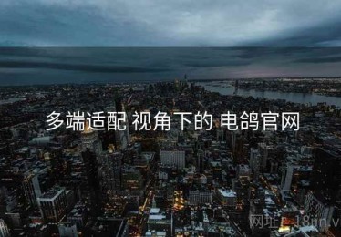 多端适配 视角下的 电鸽官网