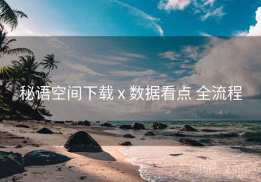 秘语空间下载 x 数据看点 全流程
