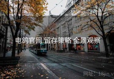电鸽官网 留存策略 全景观察