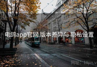 电鸽app官网 版本差异与 隐私设置