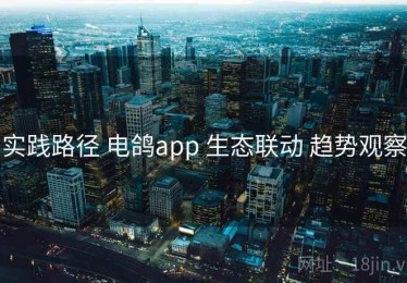 实践路径 电鸽app 生态联动 趋势观察