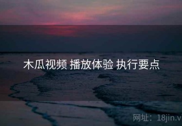 木瓜视频 播放体验 执行要点