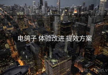 电鸽子 体验改进 提效方案