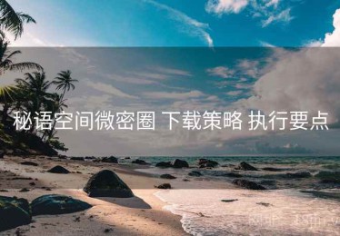 秘语空间微密圈 下载策略 执行要点