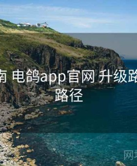 完整指南 电鸽app官网 升级路线 入门路径