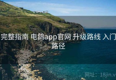 完整指南 电鸽app官网 升级路线 入门路径