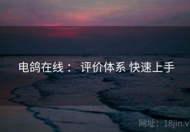 电鸽在线 ： 评价体系 快速上手