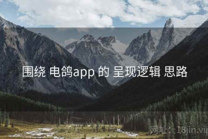 围绕 电鸽app 的 呈现逻辑 思路