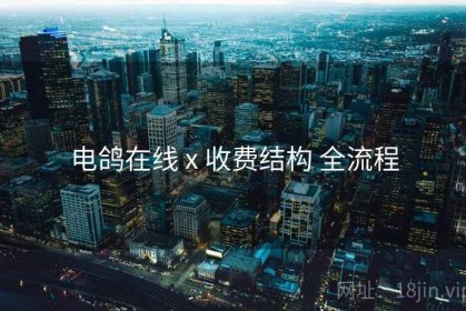 电鸽在线 x 收费结构 全流程