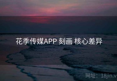花季传媒APP 刻画 核心差异