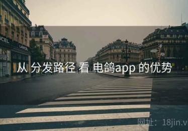 从 分发路径 看 电鸽app 的优势