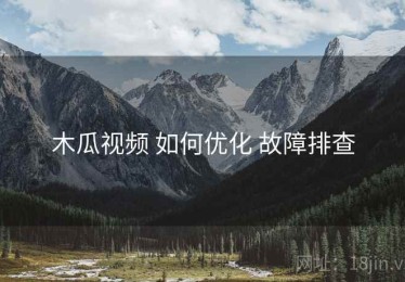 木瓜视频 如何优化 故障排查