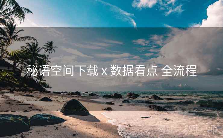 秘语空间下载 x 数据看点 全流程 秘语空间下载 x 数据看点 全流程