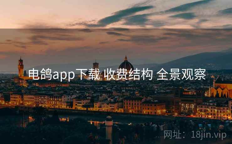 电鸽app下载 收费结构 全景观察 电鸽app下载 收费结构 全景观察